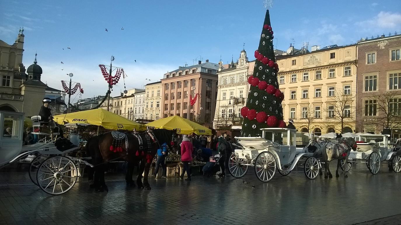 Cracovia (Polonia)