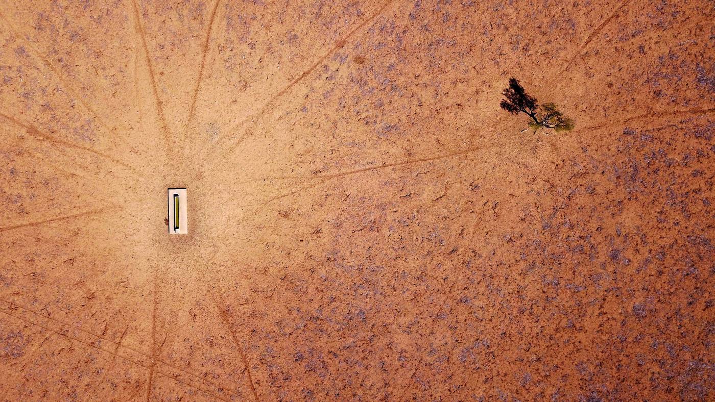 En Nueva Gales del Sur, la sequía ha hecho estragos. En la imagen, un árbol solitario, cerca de la poca agua que hay.