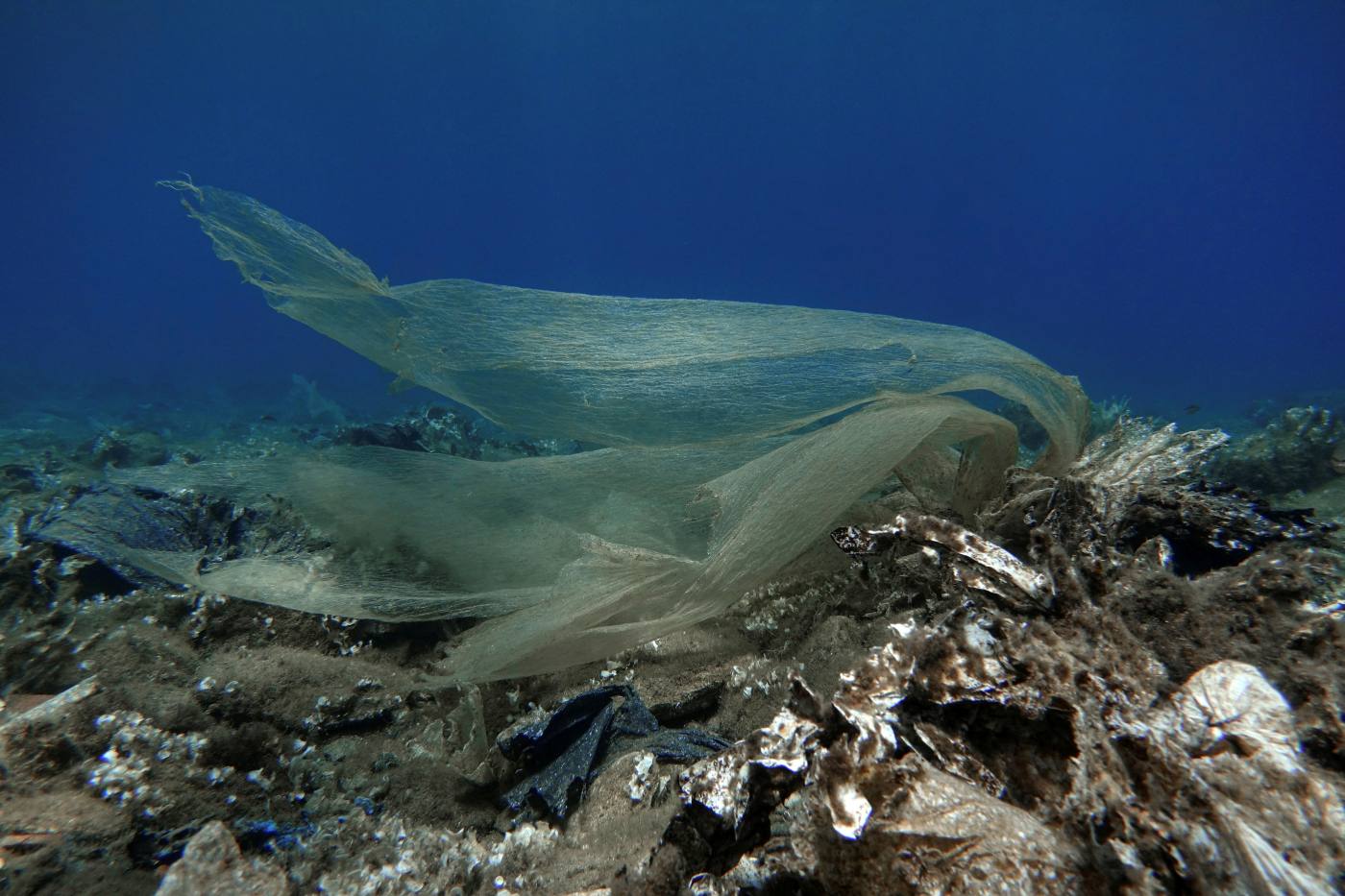 Plásticos en el fondo marino de la isla de Andros, en Grecia.