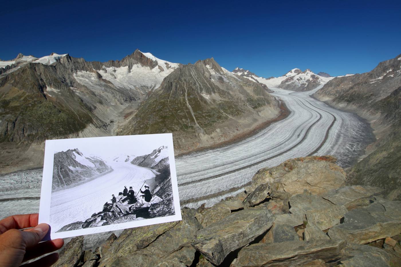 Una imagen del glaciar Aletsch, en Suiza, tomada entre1860 y 1890 y con el mismo paraje de fondo en 2019. El cambio es notable.