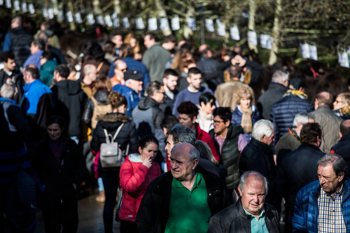 Fotos: Gordexola disfruta de su feria ganadera, agrícola y de artesanía
