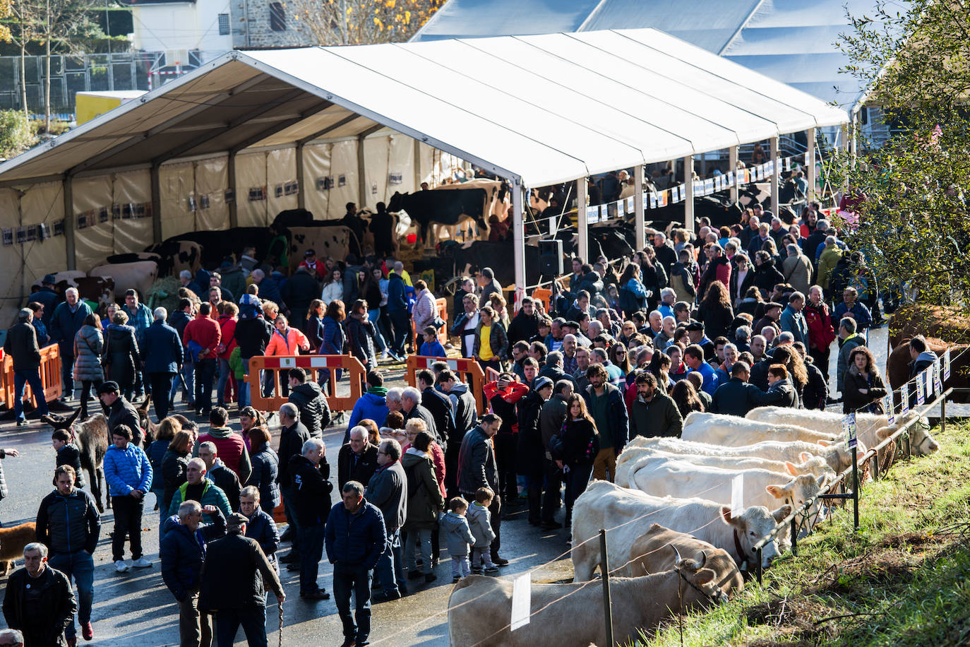 Fotos: Gordexola disfruta de su feria ganadera, agrícola y de artesanía