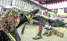 Medieval sin rapaces