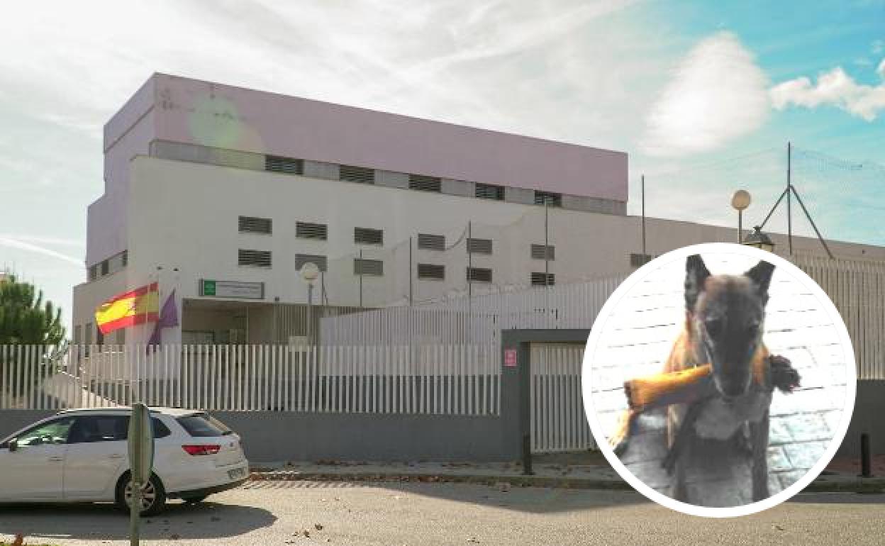 Uno de los perros de la unidad policial canina y de fondo el instituto donde se halló la droga. 