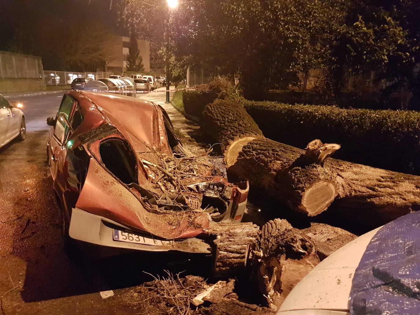 Un árbol caído ha destrozado un turismo cerca del complejo deportivo de Fadura, en Algorta, Getxo.