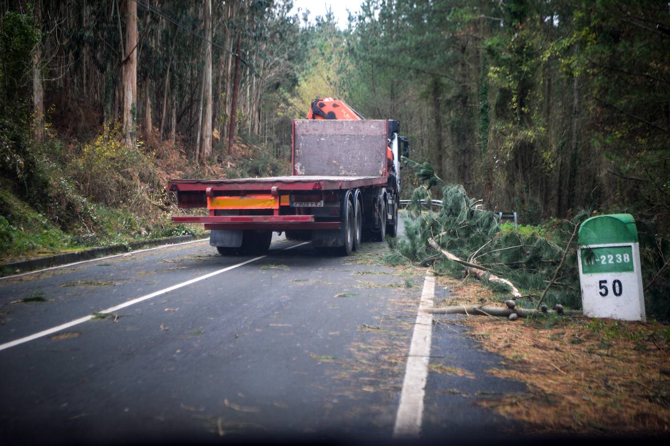 Árboles caídos y carreteras cortadas a los alrededores de Lekeitio. 