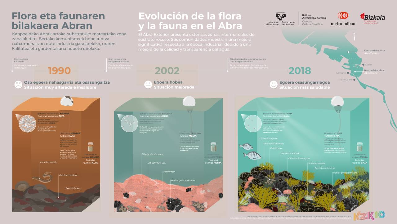 El Nervión visto a través de su flora y fauna, y como medio de transporte, antes con el paso de los navíos y ahora con las vías del Metro de Bilbao bajo sus aguas