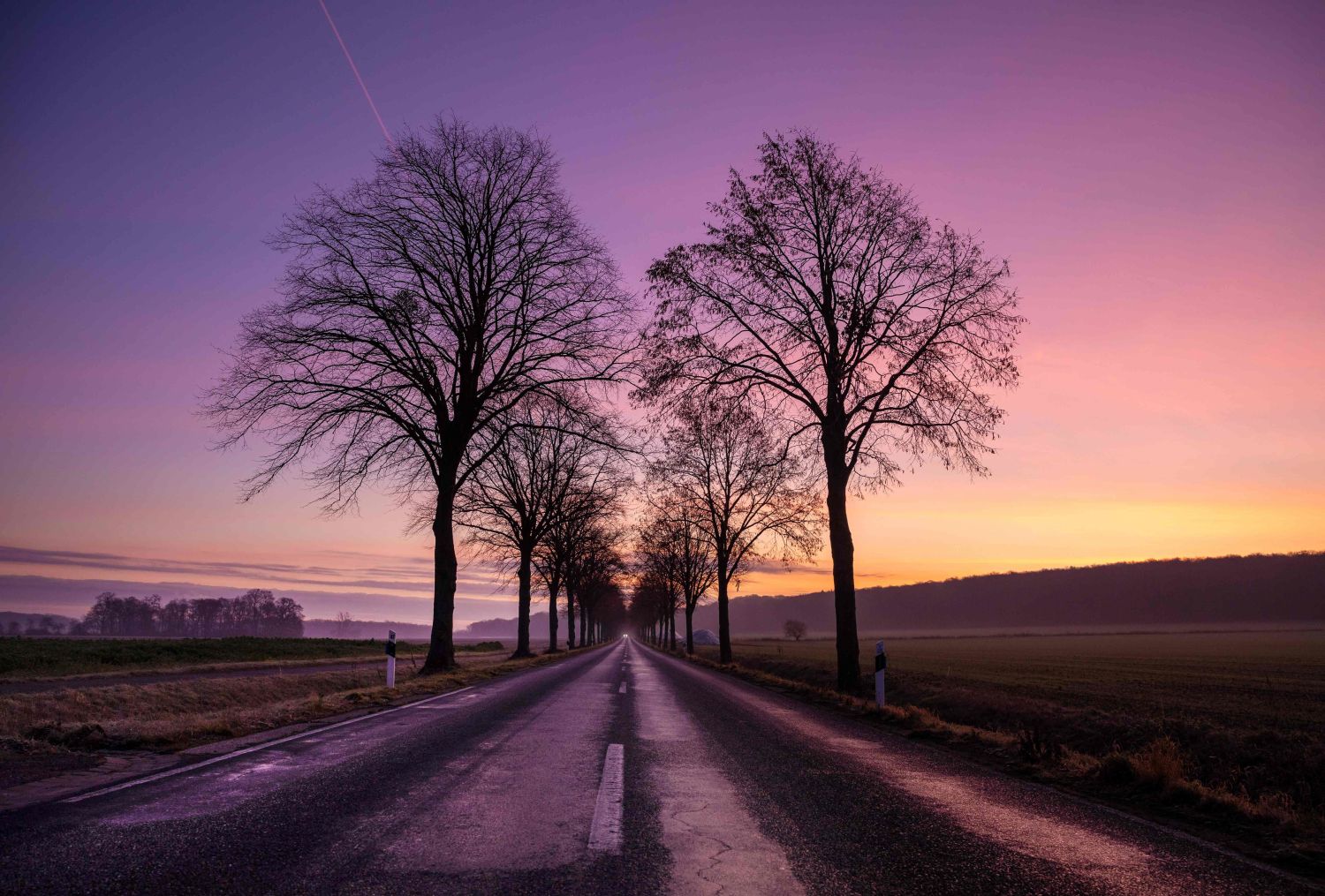 Atardecer en una carretera rural en Seelze, cerca de Hannover (Alemania)