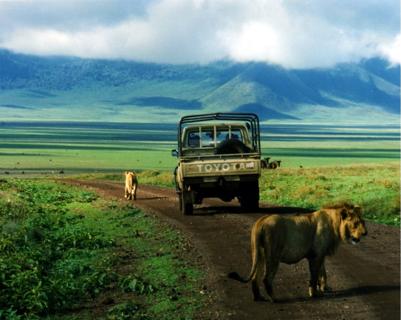 Cráter del Ngorongoro (Tanzania) 