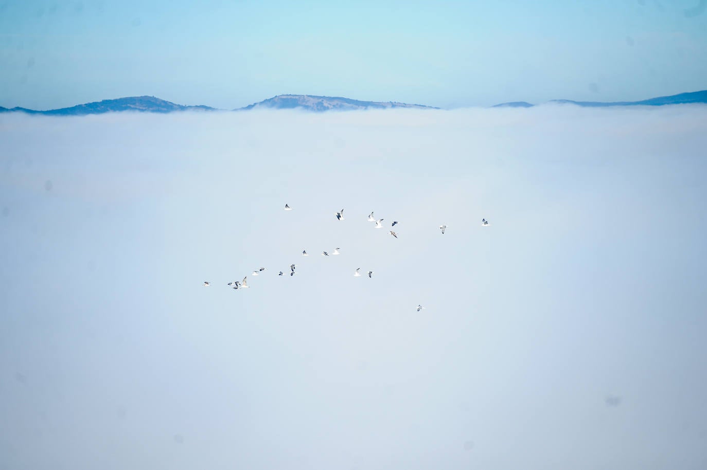 El frío y los bancos de niebla han vuelto a ser protagonistas en Álava. Tobillas, con -5,7 grados, ha marcado la mínima este 2 de enero en el territorio histórico. Salvatierra y Antoñana, con -3,6, y Vitoria, con -2,6 grados, son otros de los rincones de la geografía alavesa donde las temperaturas han caído por debajo de cero.