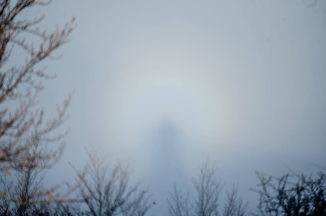 El frío y los bancos de niebla han vuelto a ser protagonistas en Álava. Tobillas, con -5,7 grados, ha marcado la mínima este 2 de enero en el territorio histórico. Salvatierra y Antoñana, con -3,6, y Vitoria, con -2,6 grados, son otros de los rincones de la geografía alavesa donde las temperaturas han caído por debajo de cero.