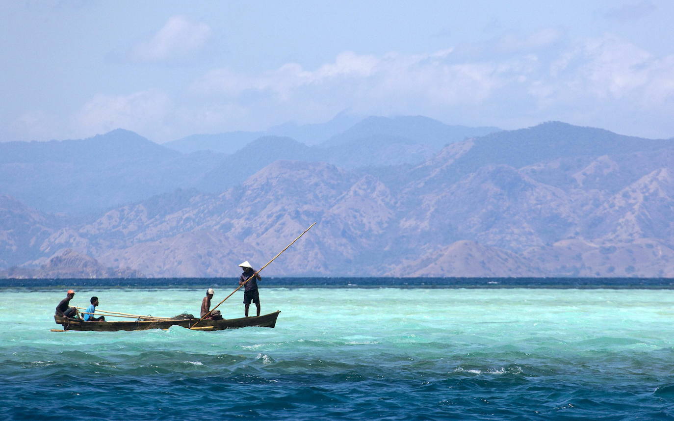 Una de las islas más pequeñas y con más encanto de la región indonesia de Nusa Tenggara Oriental es Rinca, ubicada en el Parque Nacional Komodo. Además de la exhuberancia de sus paisajes, despierta un gran atractivo por ser el lugar en el que habita el gran dragón de Komodo (varanus komodoensis), el mayor lagarto del mundo, puede llegar a medir hasta tres metros de largo y pesar hasta 150 kilos, y dispone de una enorme mandíbula. 