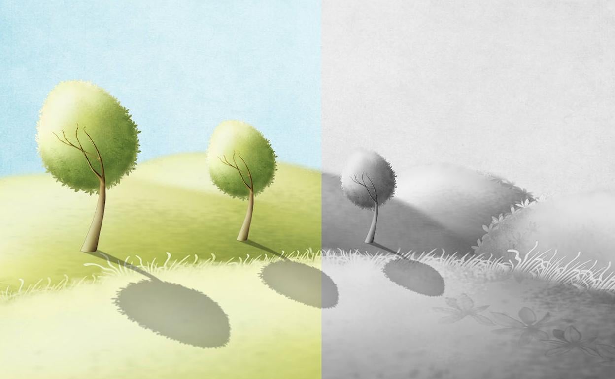 «Beharrezkoa da gobernuen eta aldundien norabidea errotik aldatzea». 