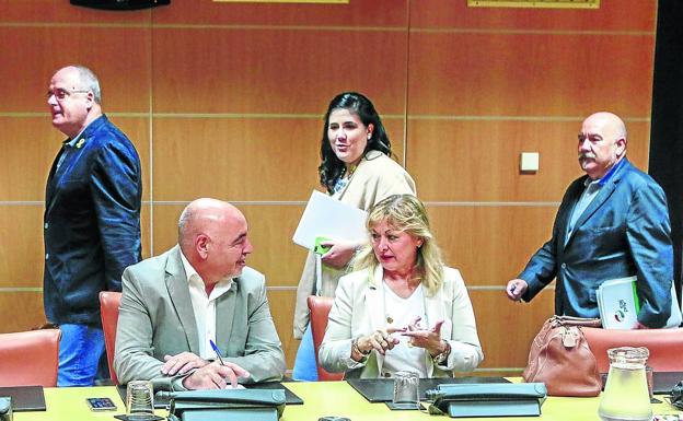 El grupo parlamentario se reunió por última vez a mediados de diciembre.