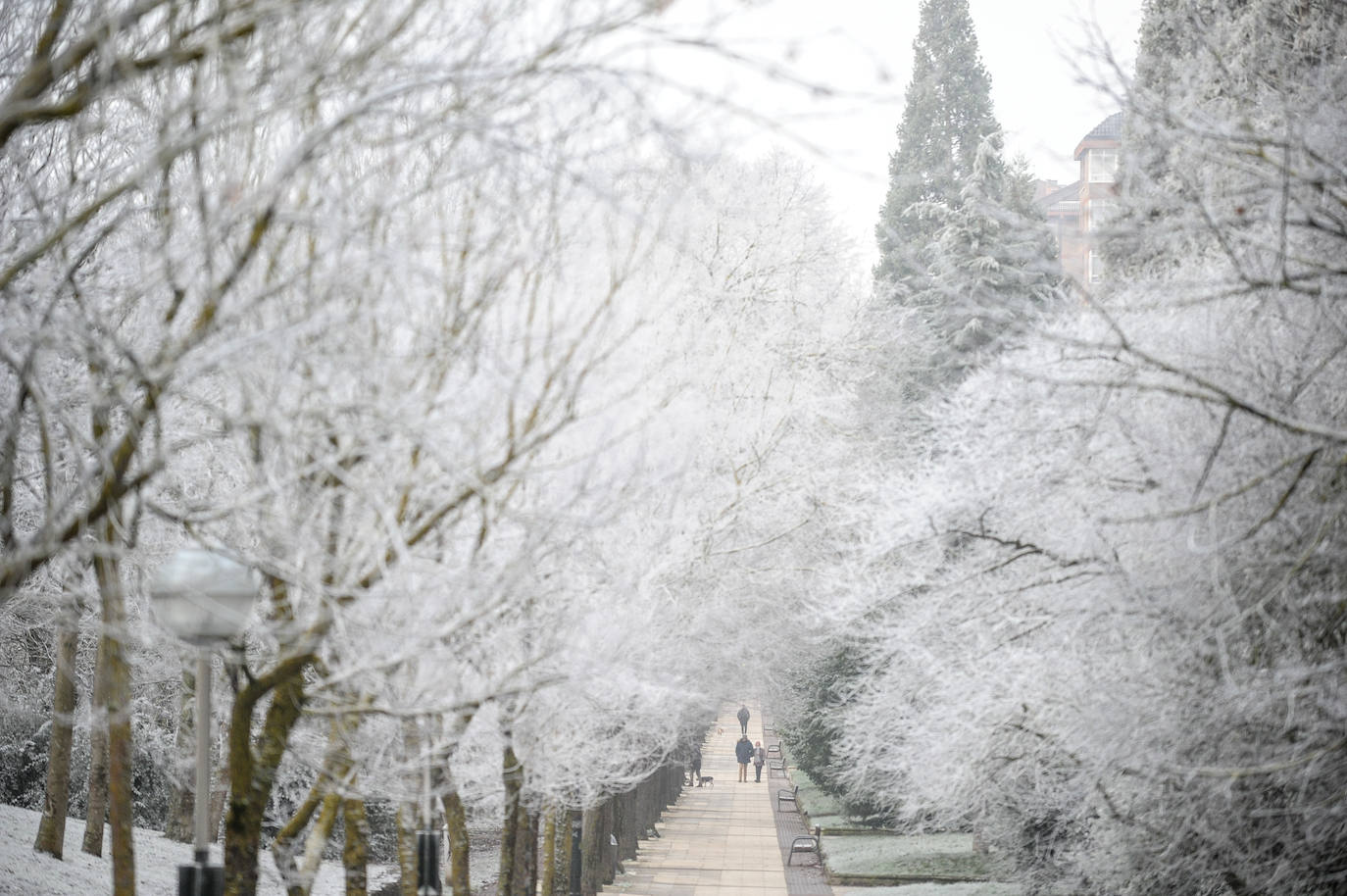 Fotos: Alava amanece de nuevo con heladas