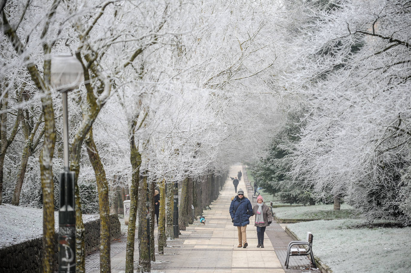 Fotos: Alava amanece de nuevo con heladas