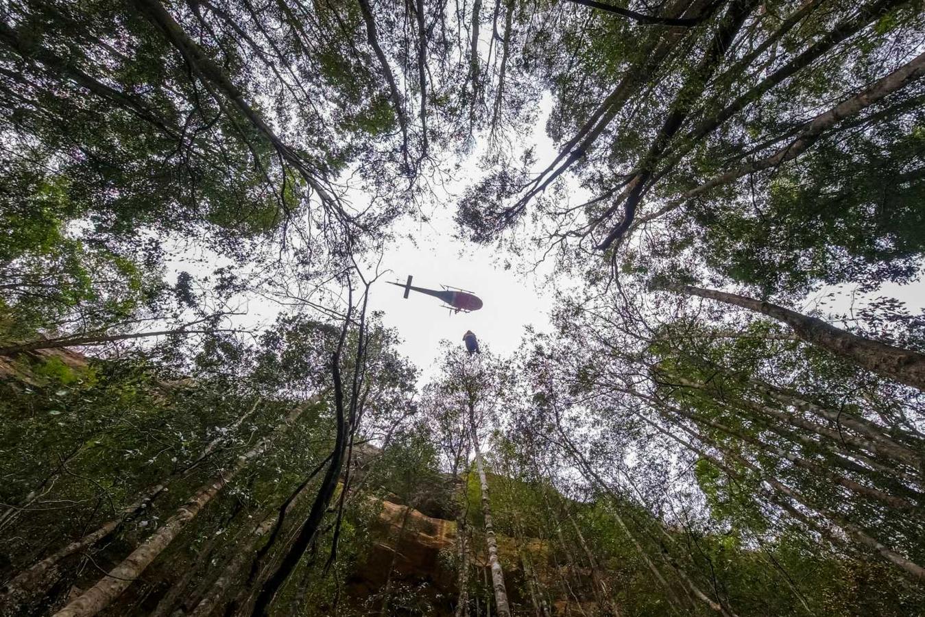 Un helicóptero sobrevuela el Parque Nacional Wollemi, Nueva Gales del Sur, Australia