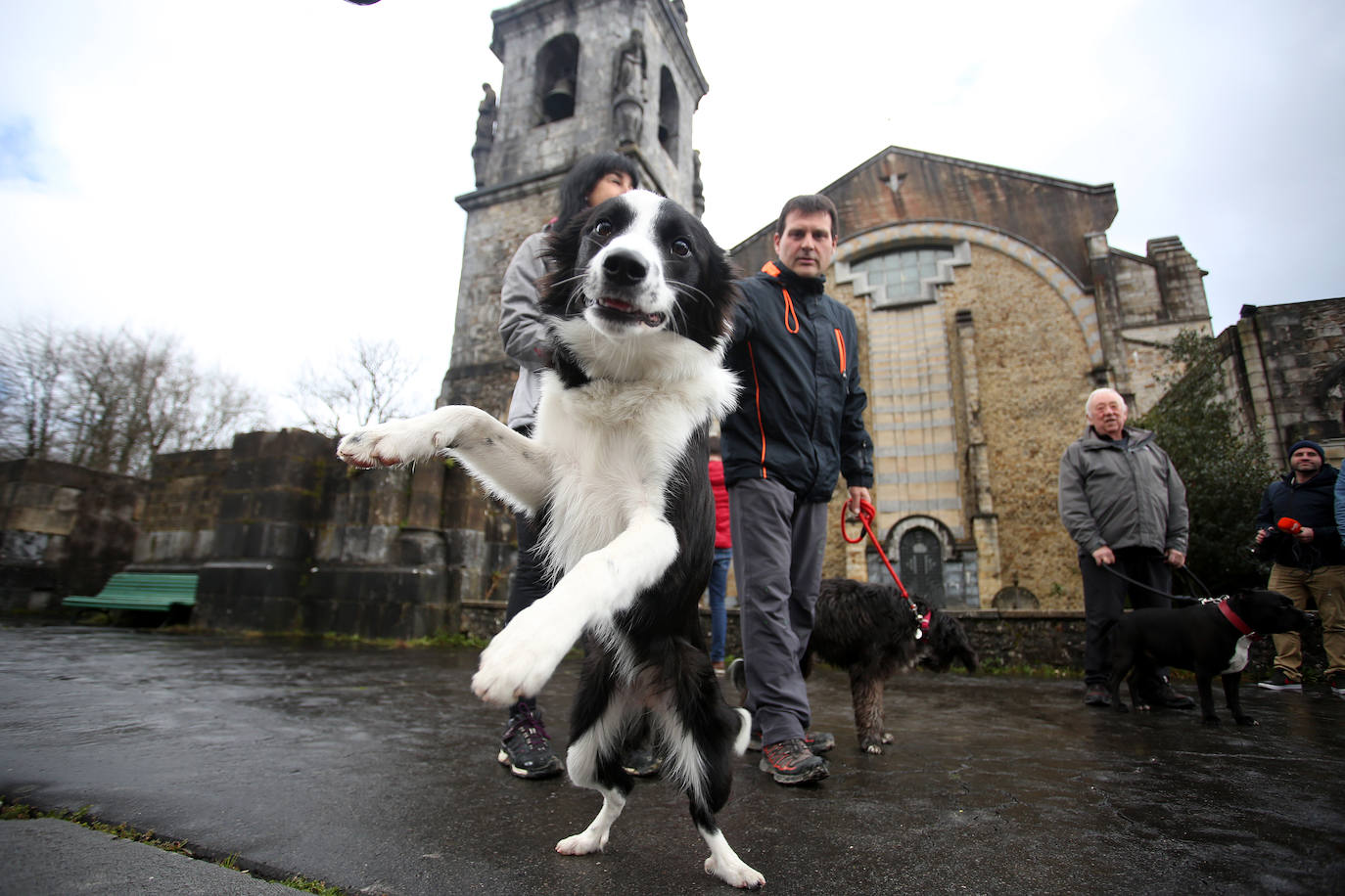 Numerosos fieles acudieron a Urkiola en el día de San Antonio para bendecir a sus mascotas.