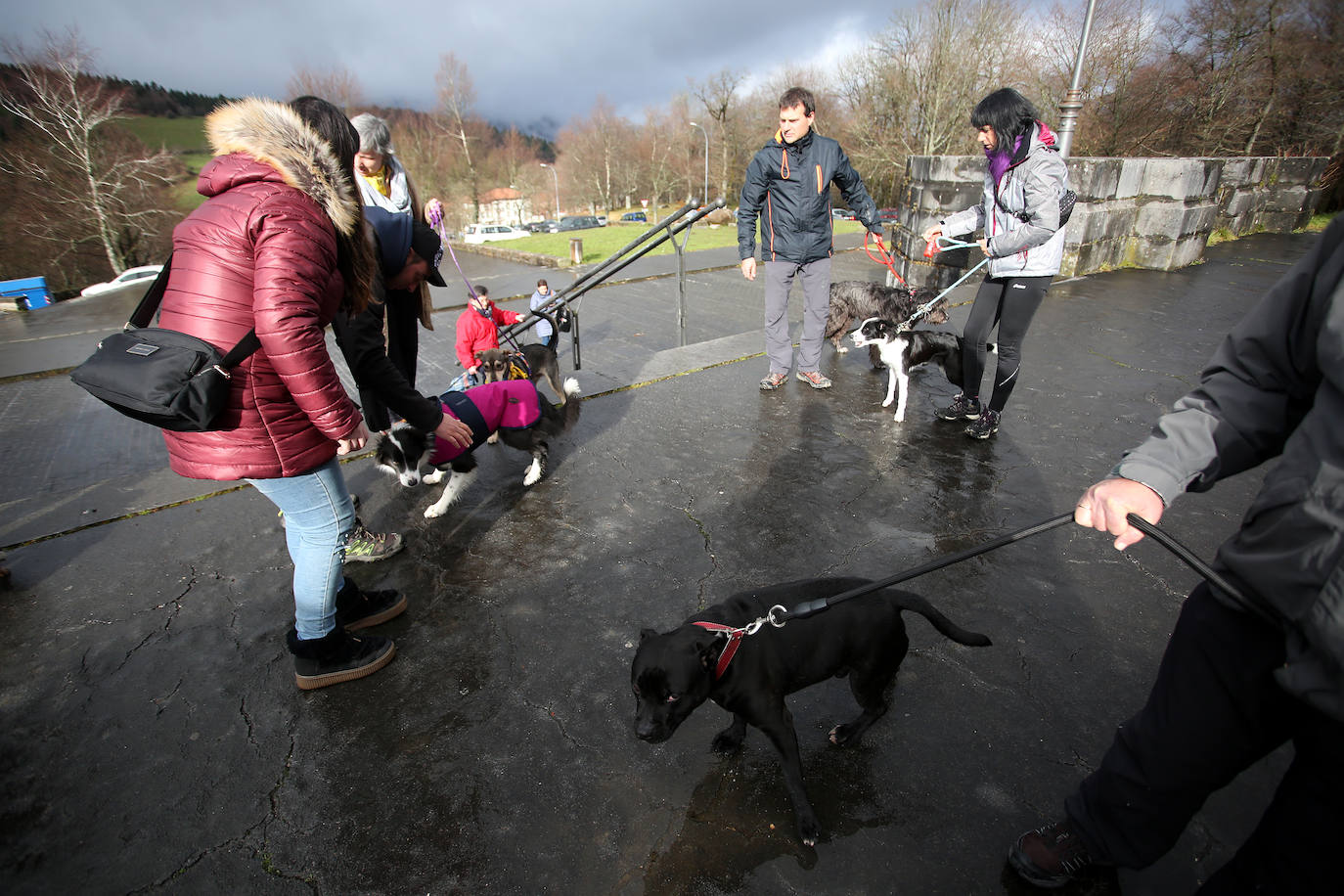 Numerosos fieles acudieron a Urkiola en el día de San Antonio para bendecir a sus mascotas.