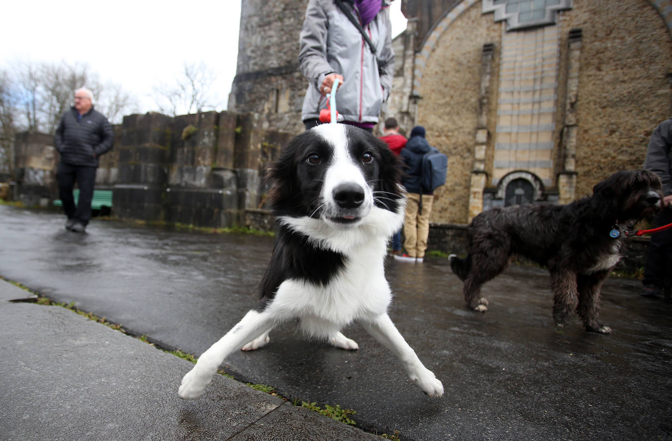 Numerosos fieles acudieron a Urkiola en el día de San Antonio para bendecir a sus mascotas.