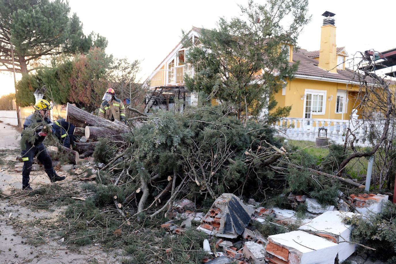 El fuerte viento derribó un árbol que destrozó la tapia de una vivienda en la localidad vallisoletana de Viana de Cega