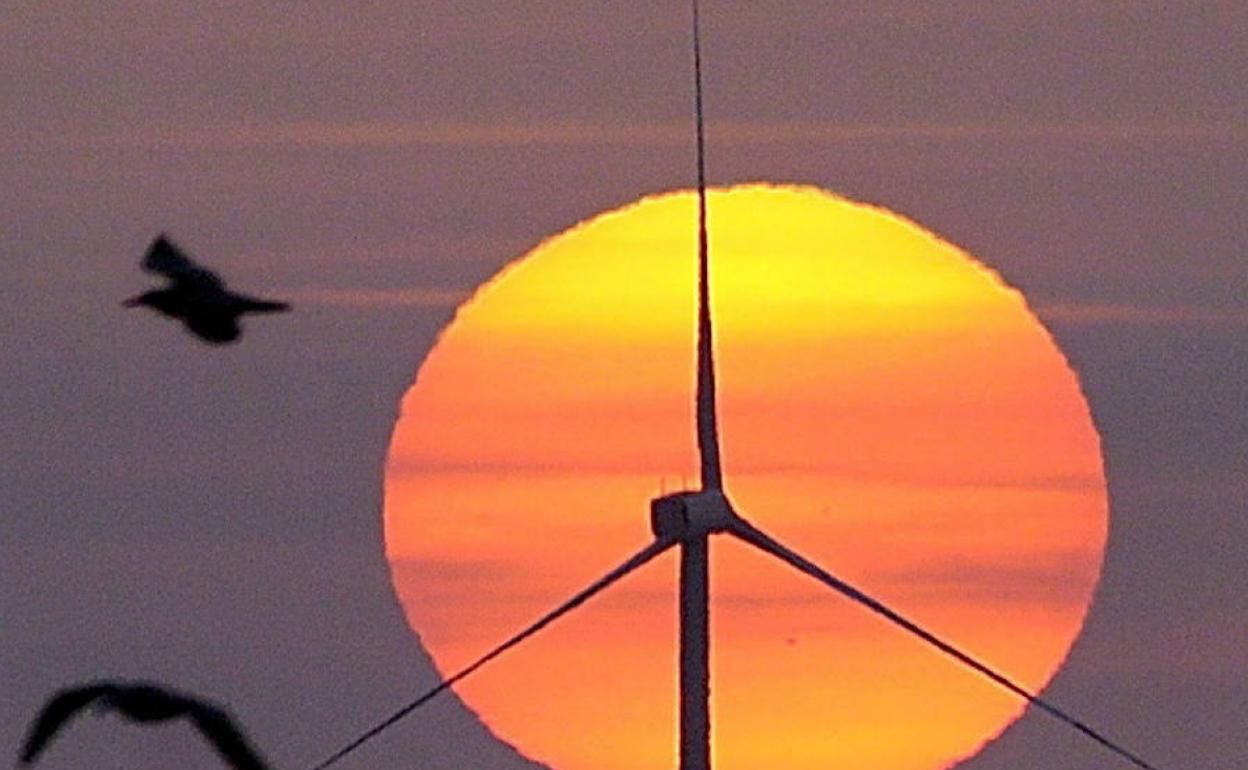 Punta Luceroko haize-sorgailua eguzkia sartzen denean