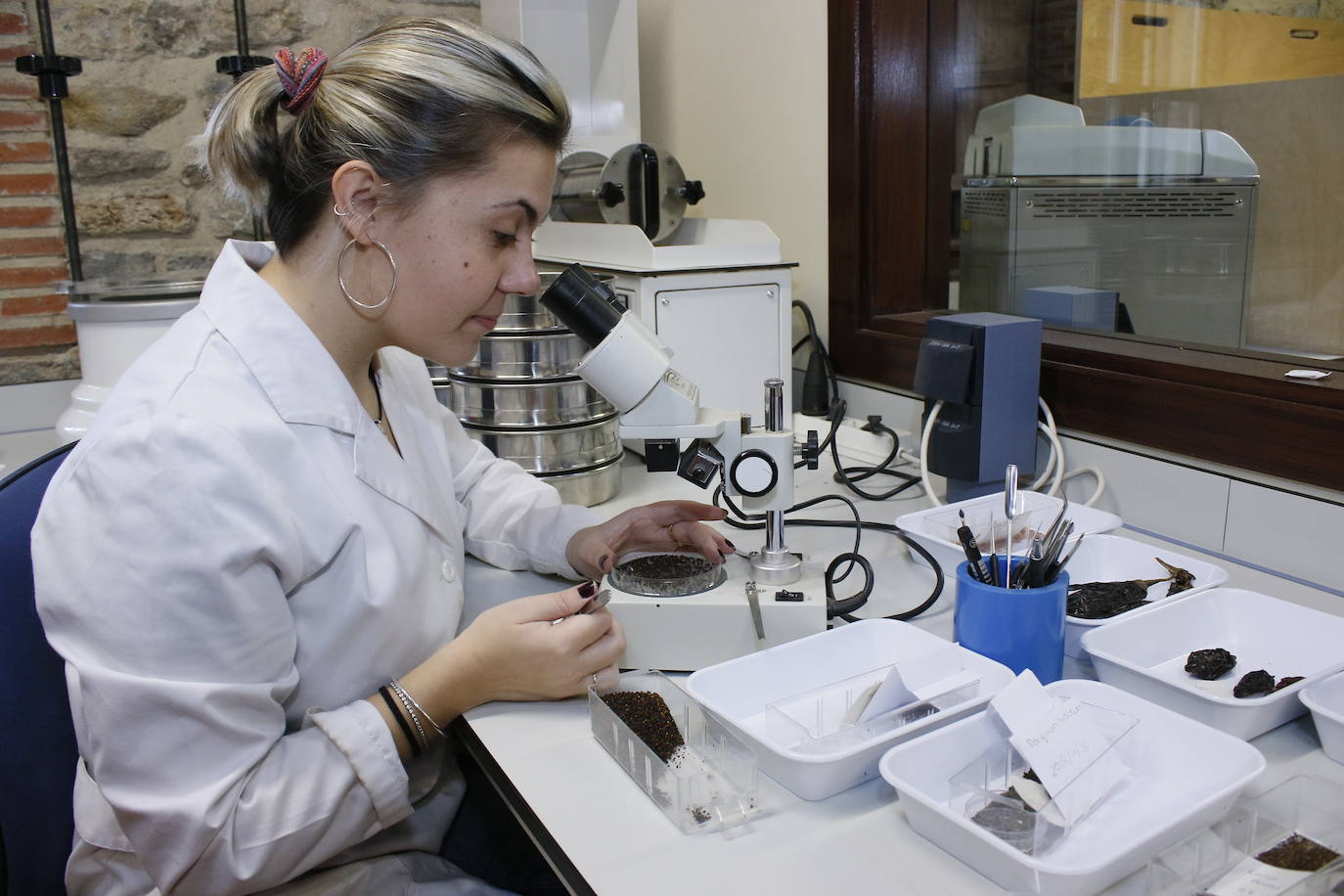 Antes de reposar en los tarros de la cámara, todas las semillas han pasado por el laboratorio para su puesta a punto.