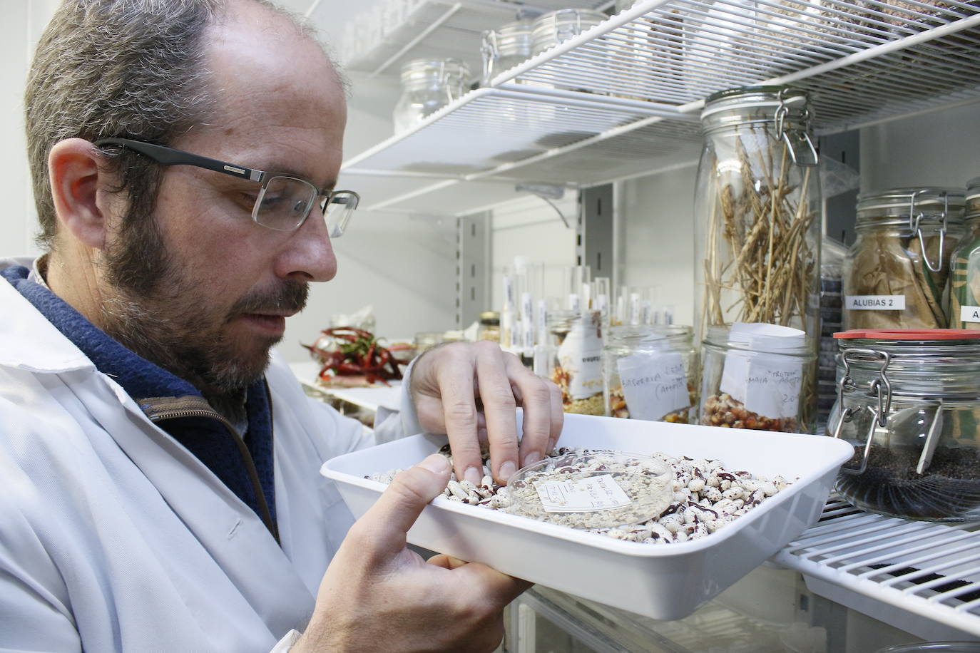 Es en la sala frigorífica, siempre con una temperatura constante de diez grados, es donde se conservan todos los ejemplares para que sean plantadas en un futuro