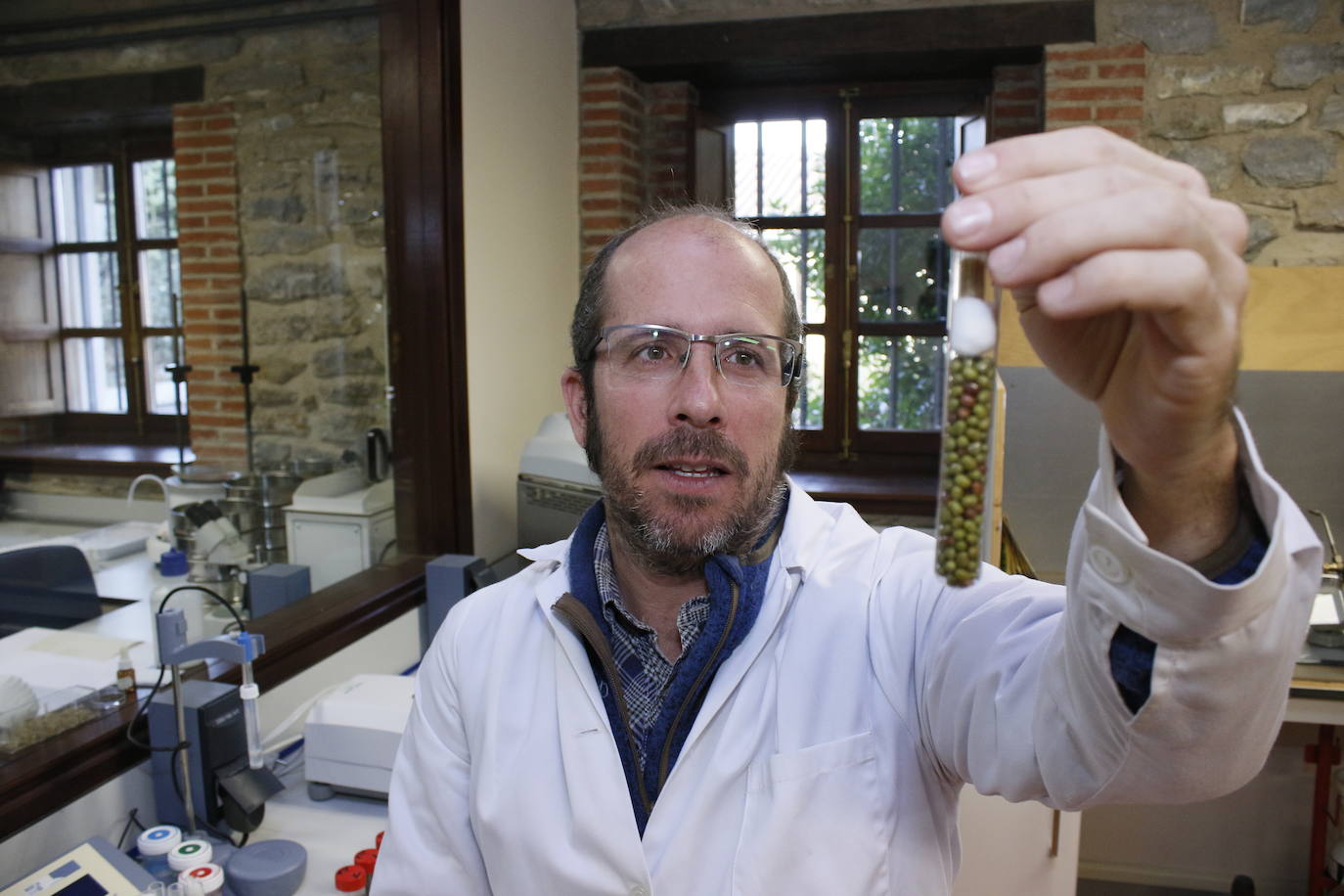 Antes de reposar en los tarros de la cámara, todas las semillas han pasado por el laboratorio para su puesta a punto.