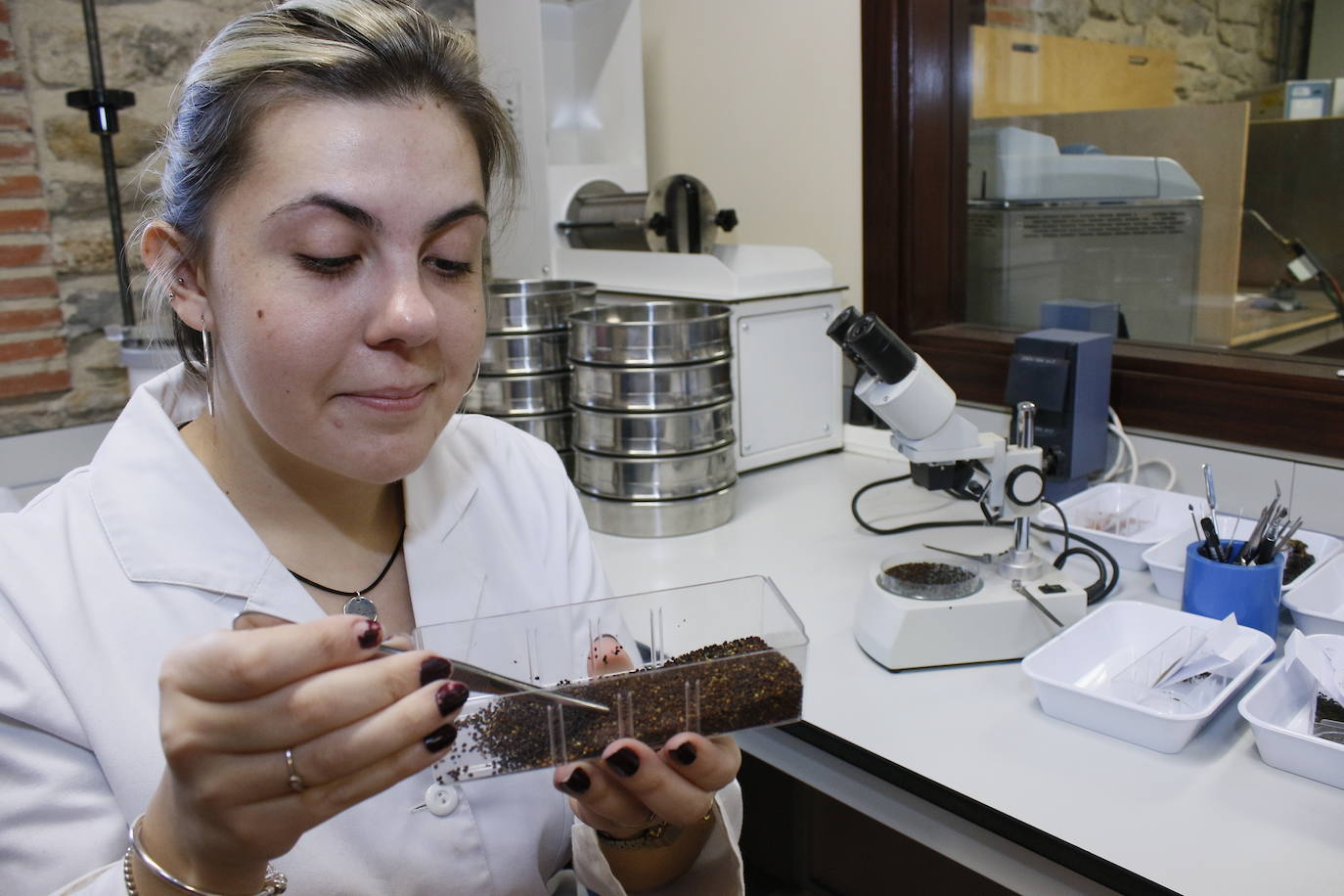 Antes de reposar en los tarros de la cámara, todas las semillas han pasado por el laboratorio para su puesta a punto.