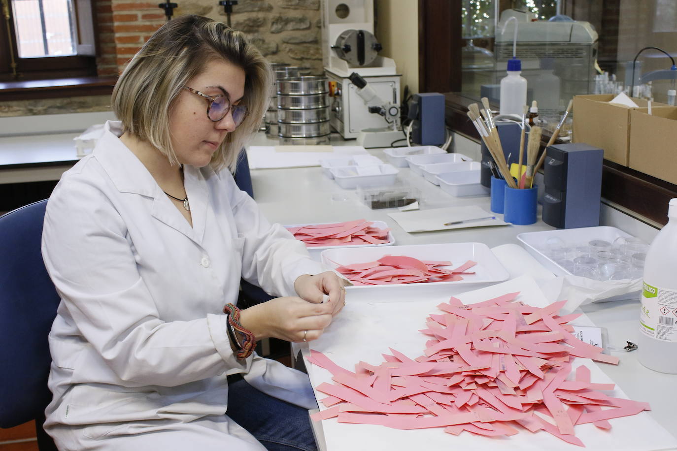 Preparación del etiquetado para diferenciar cada uno de los tipos de semilla.