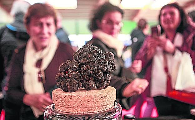 Imagen principal - Arriba, uno de los ejemplares que se pusieron a la venta en la feria. Debajo, puesto de verduras y Tris y Rafa, en plena exhibición. 