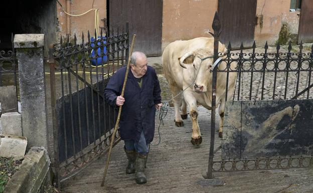 Alejandro Goya conduce a Potxolo.