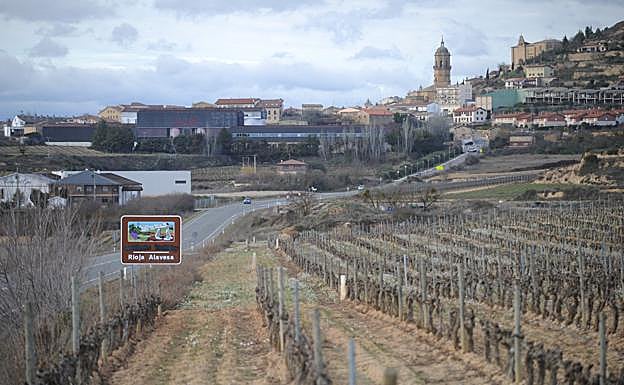 Viñedos de Rioja Alavesa, a la entrada al municipio de Labastida.