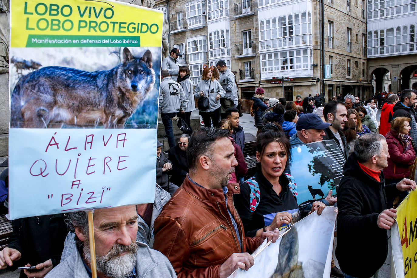 Fotos: El lobo no está sólo en Álava