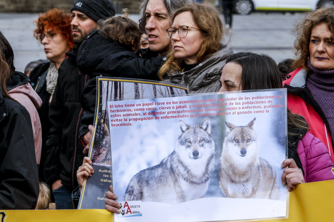 Fotos: El lobo no está sólo en Álava