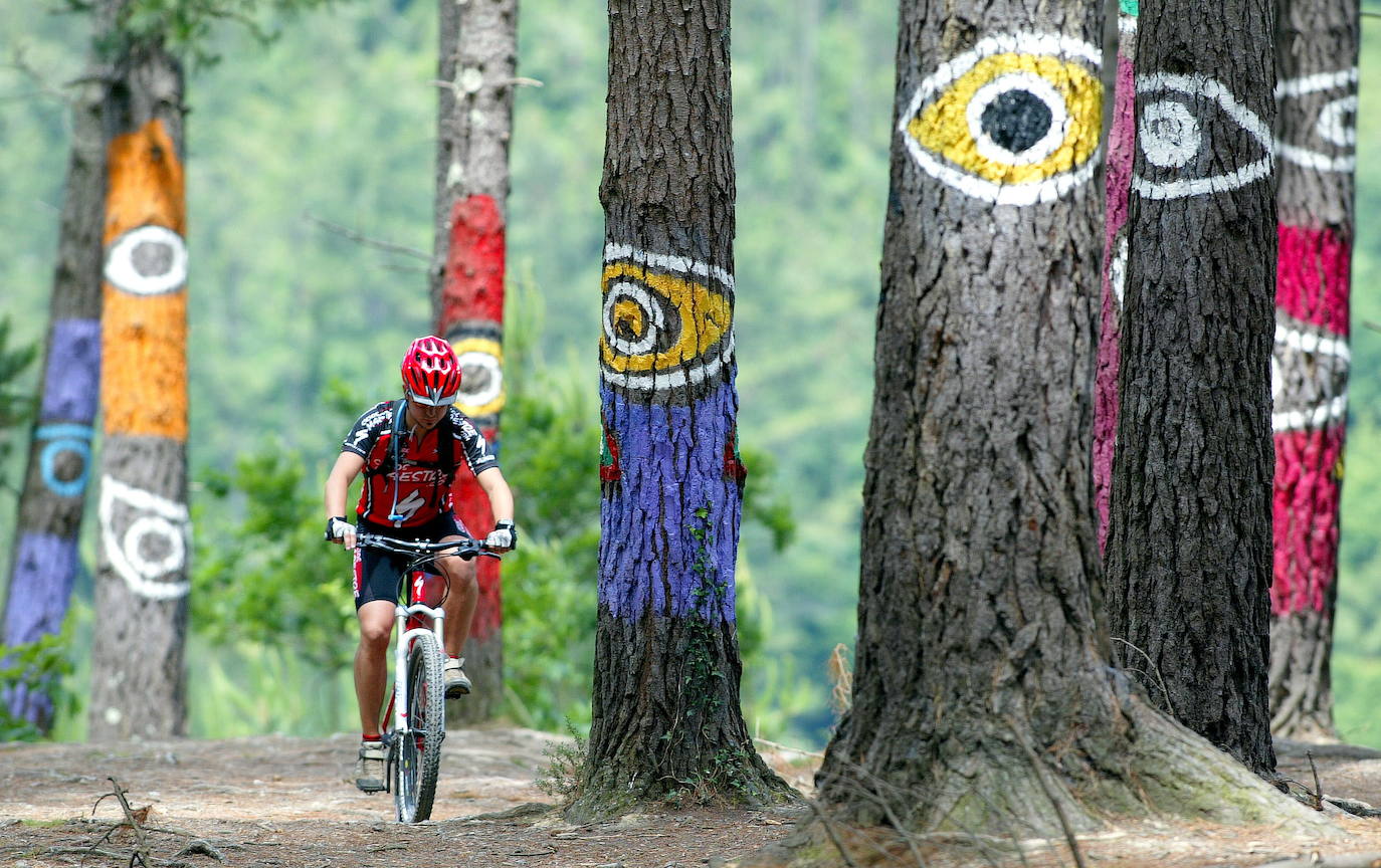 Un ciclista pasea por el bosque pintado de Oma.