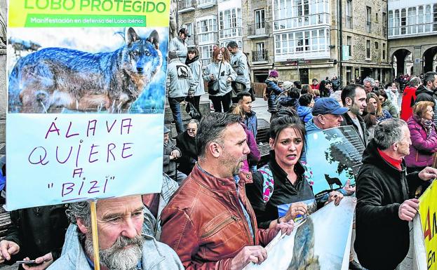 Cientos de personas se concentraron el domingo en Vitoria para protestar contra de la caza del lobo.