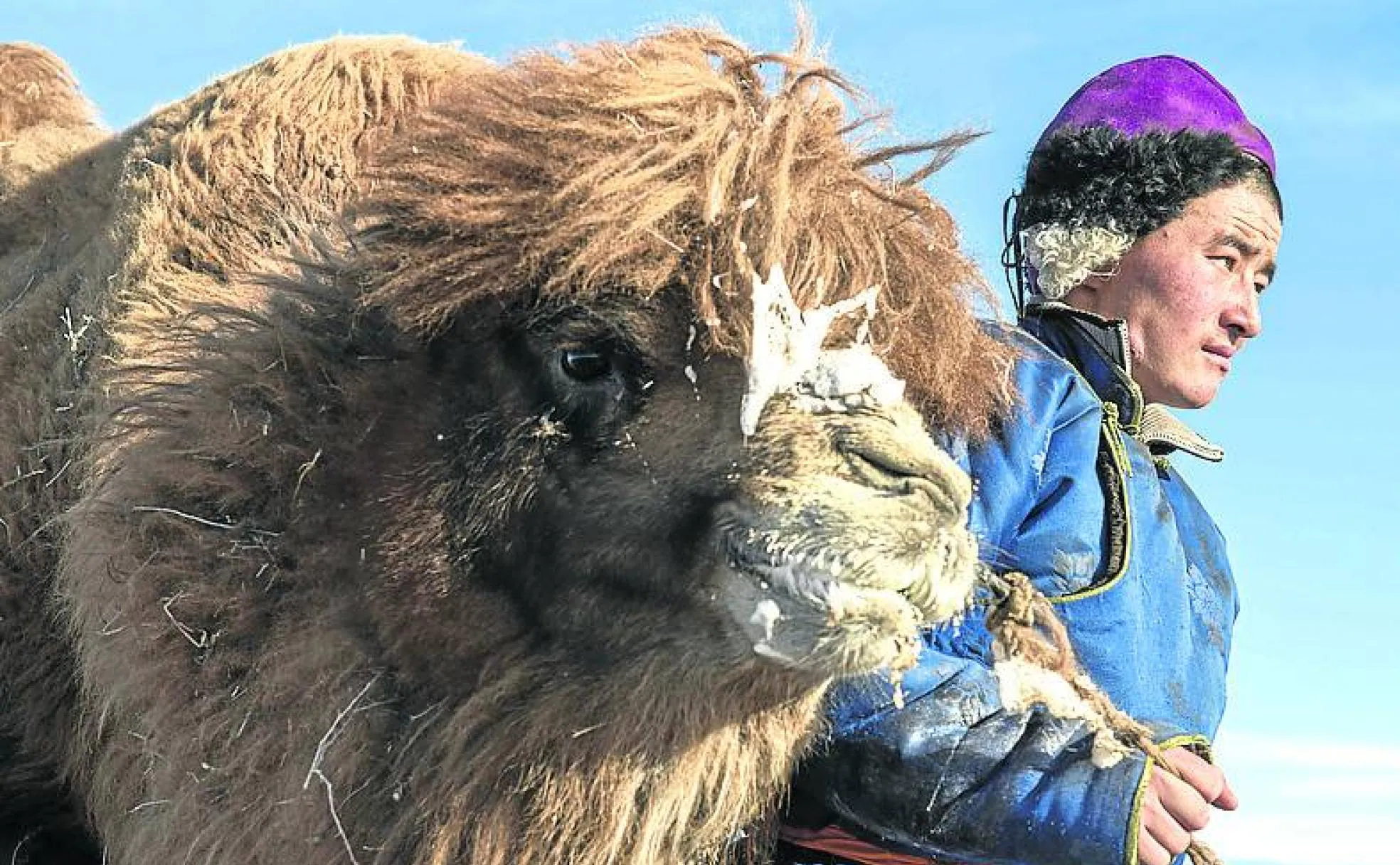 Un nómada del desierto posa con su camello.