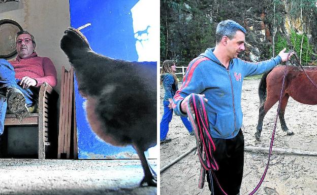 A la izquierda, descanso. Diego se toma un respiro a media jornada bajo la mirada de una gallina. A la derecha, ejercicio.Koldo hace que el caballo gire en torno a él cada vez más rápido, pero sin forzarle.