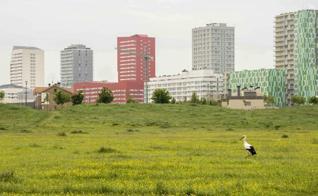 Vitoria recibe un reconocimiento en París por sus políticas medioambientales