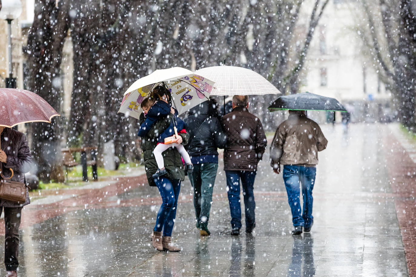 Fotos: La nieve vuelve a Álava