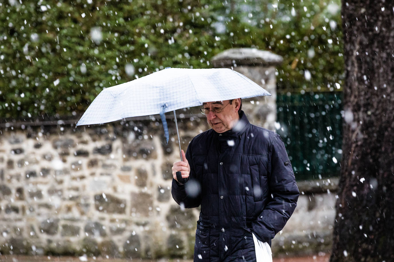 Fotos: La nieve vuelve a Álava