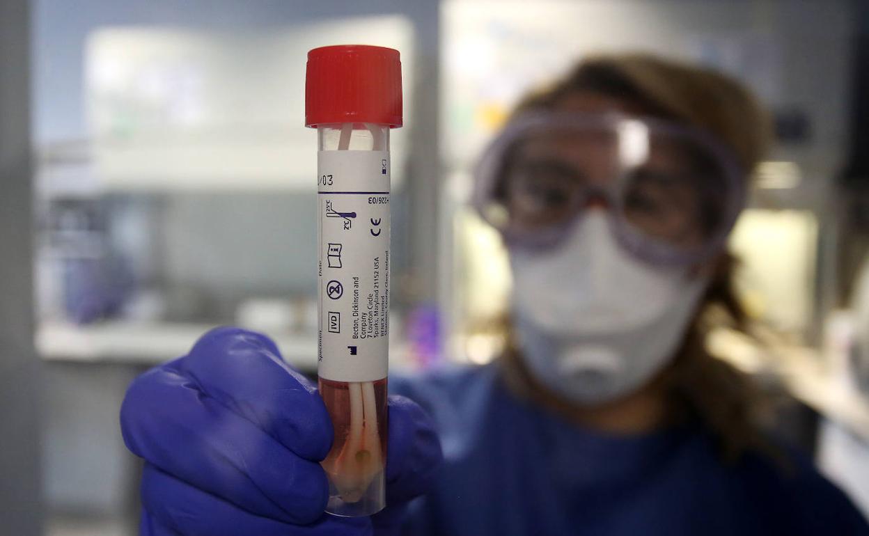 Una investigadora enseña un test para confirmar el coronavirus.