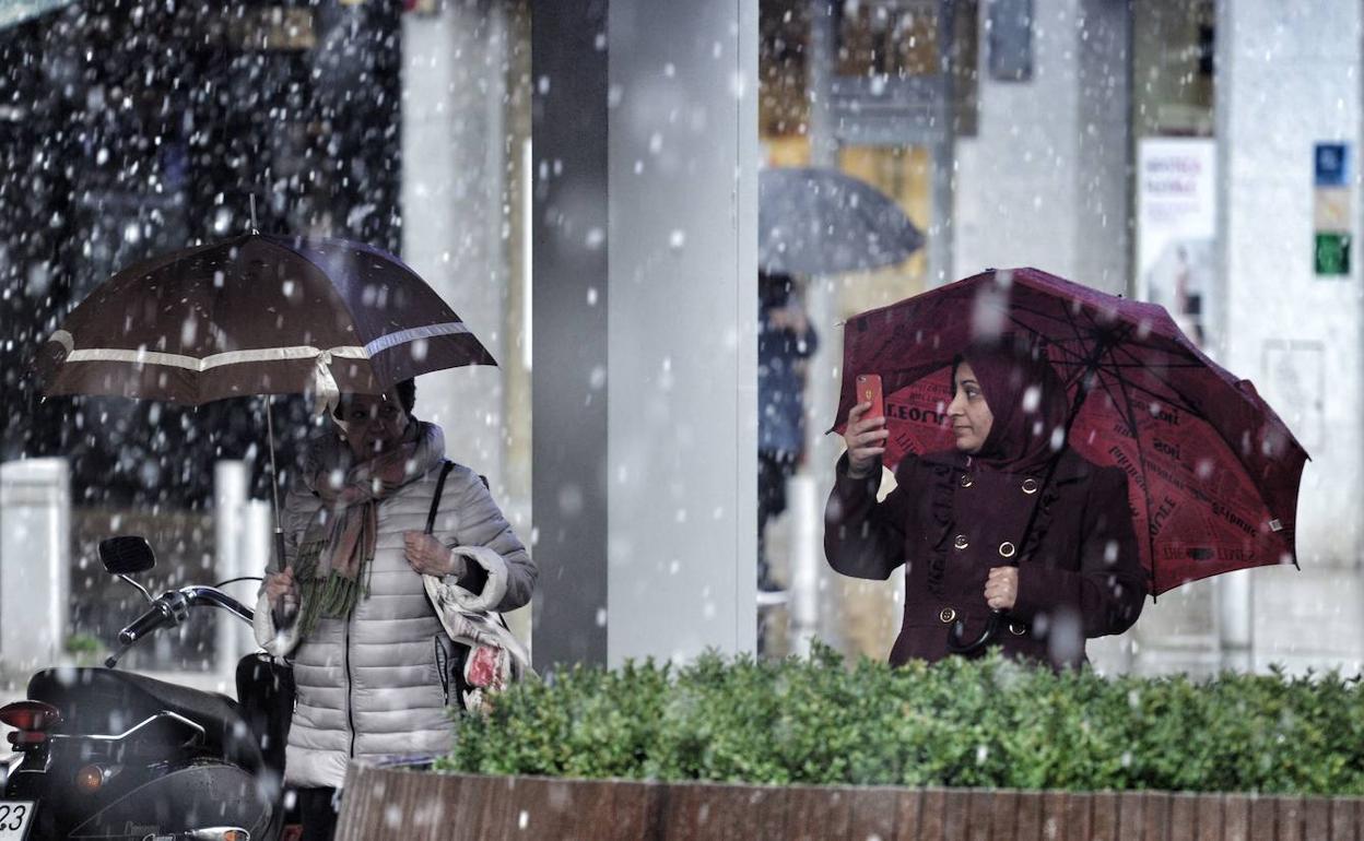 A primeros de marzo cayeron algunos copos en Vitoria. 
