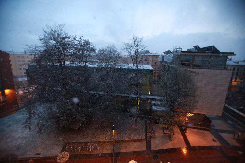 Fotos: Nieve en la Vitoria confinada