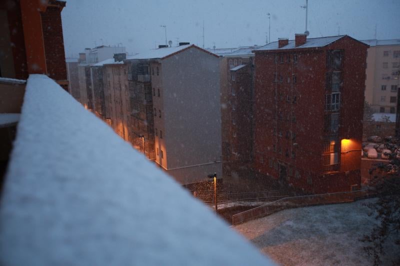 Fotos: Nieve en la Vitoria confinada