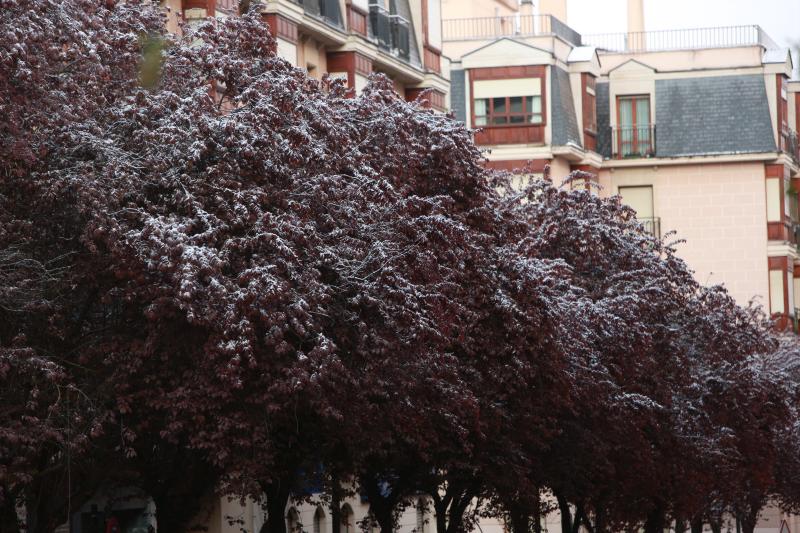 Fotos: Nieve en la Vitoria confinada