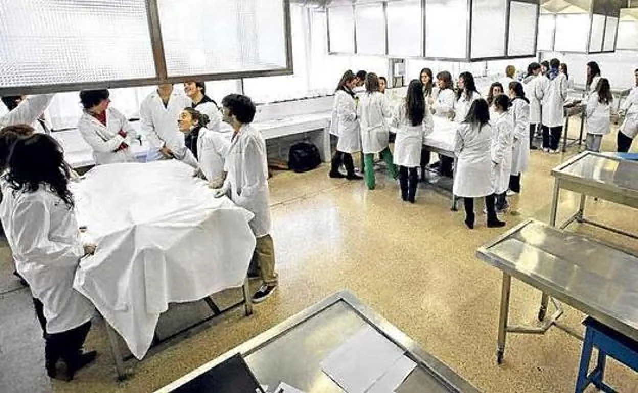 Osakidetza incorporará a alumnos de Medicina y Enfermería de la UPV