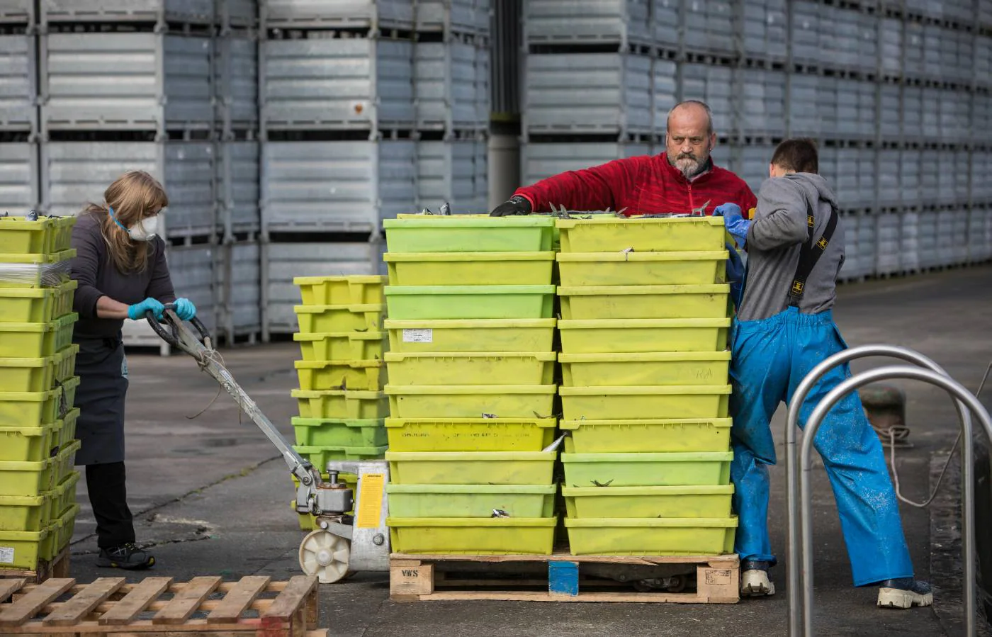 Fotos: La flota artesanal de Bermeo descarga 87 toneladas de verdel